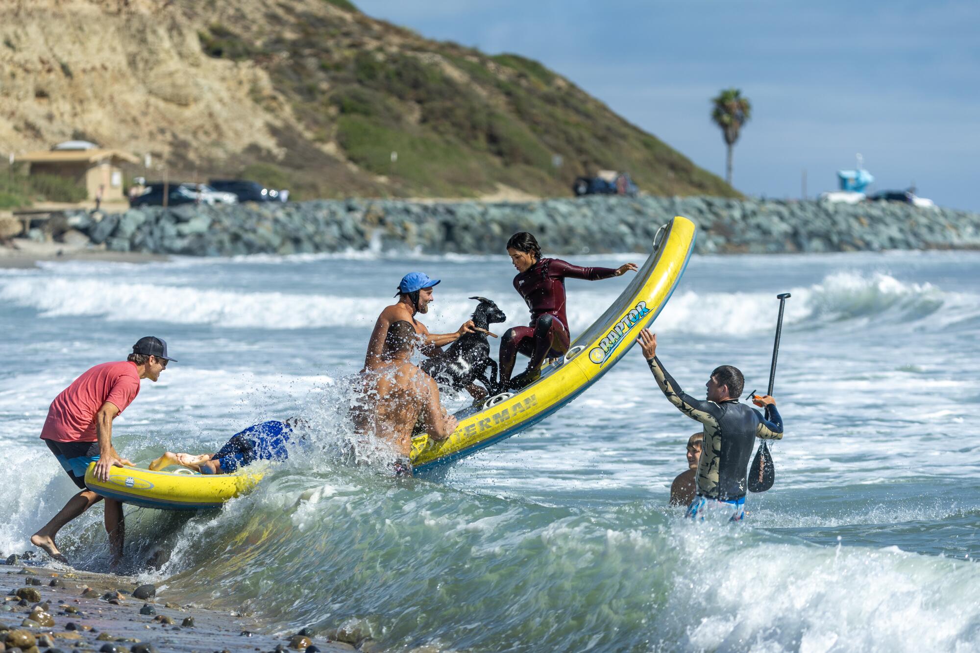 Dana McGregor owner of the Surfing Goats of Pismo Beach, joins friends surfing.