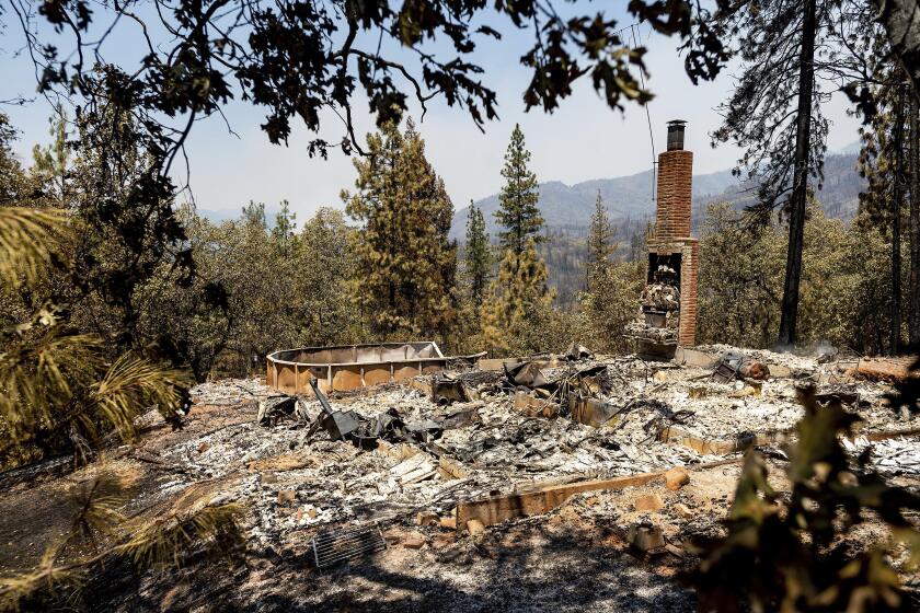 A Gregory Creek area home scorched in the Salt Fire rests in a clearing in Unincorporated Shasta County, Calif., on Friday, July 2, 2021. (AP Photo/Noah Berger)