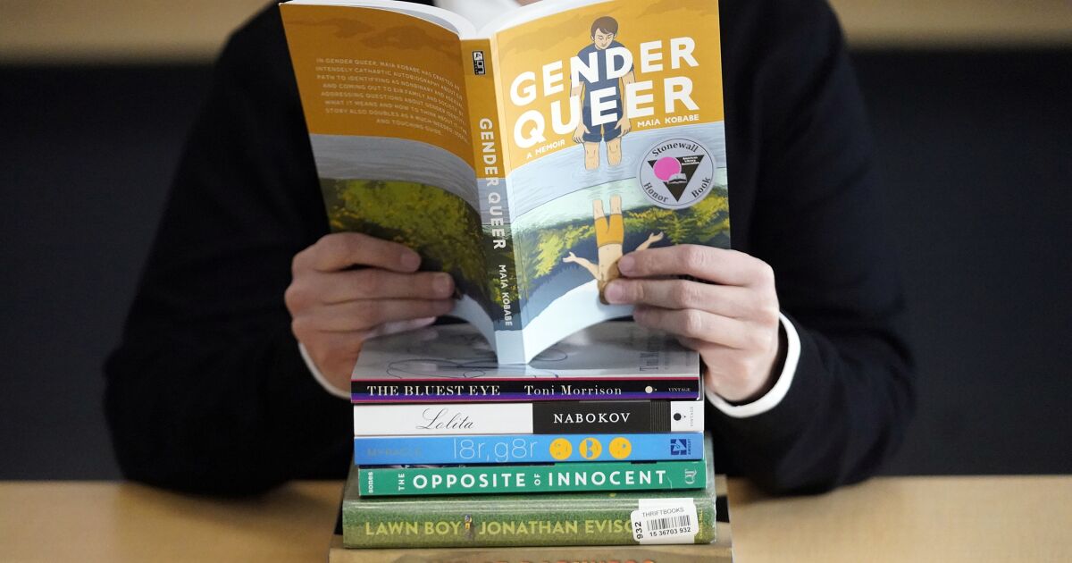 Column: I read ‘Gender Queer,’ the most banned book in America. And so should you