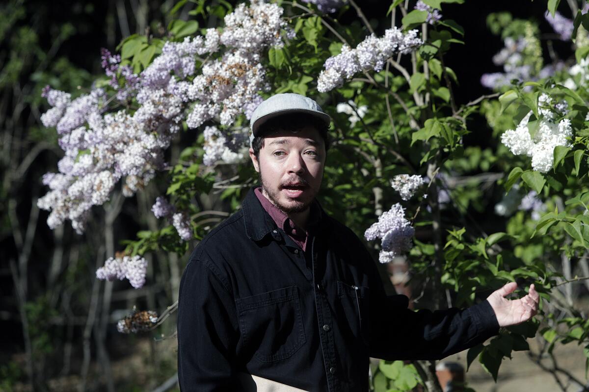 Records coordinator Roy Jenkins hosts a virtual tour video highlighting lilacs at Descanso Gardens.