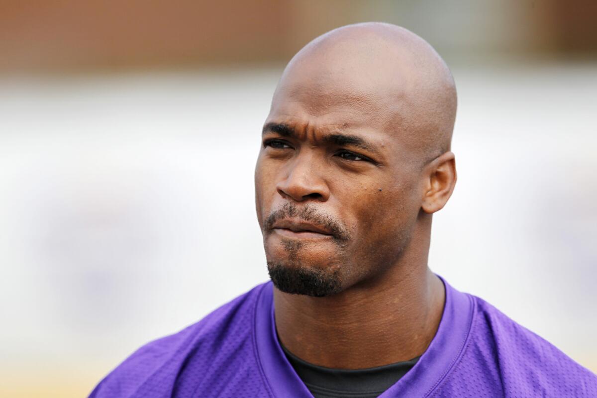 Adrian Peterson takes part in Vikings training camp on July 29.