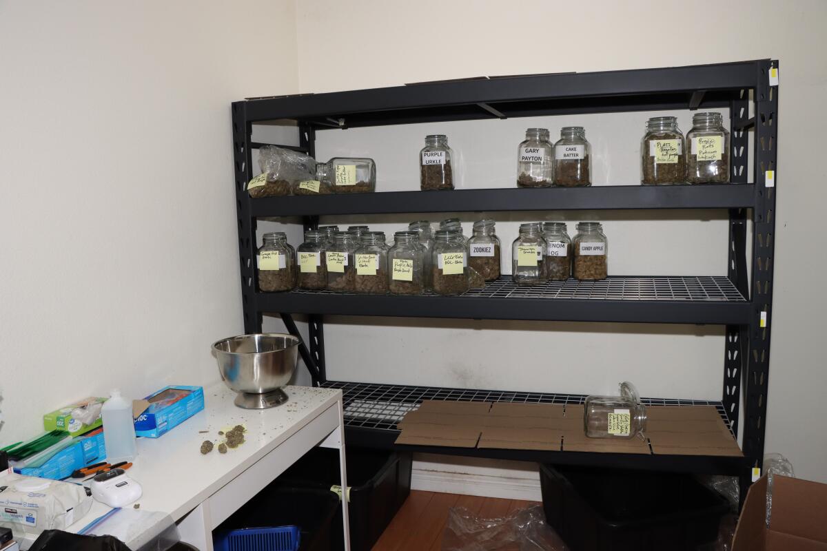 Cannabis on shelves at an unlicensed drug delivery service in Orange County.