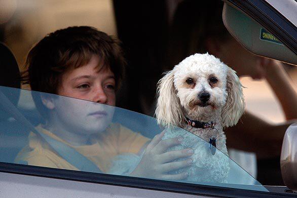 Fire evacuee Nic Wainwright holds his dog, Snickerdoodle, while he and his family try to return to their home in Rancho Palos Verdes.