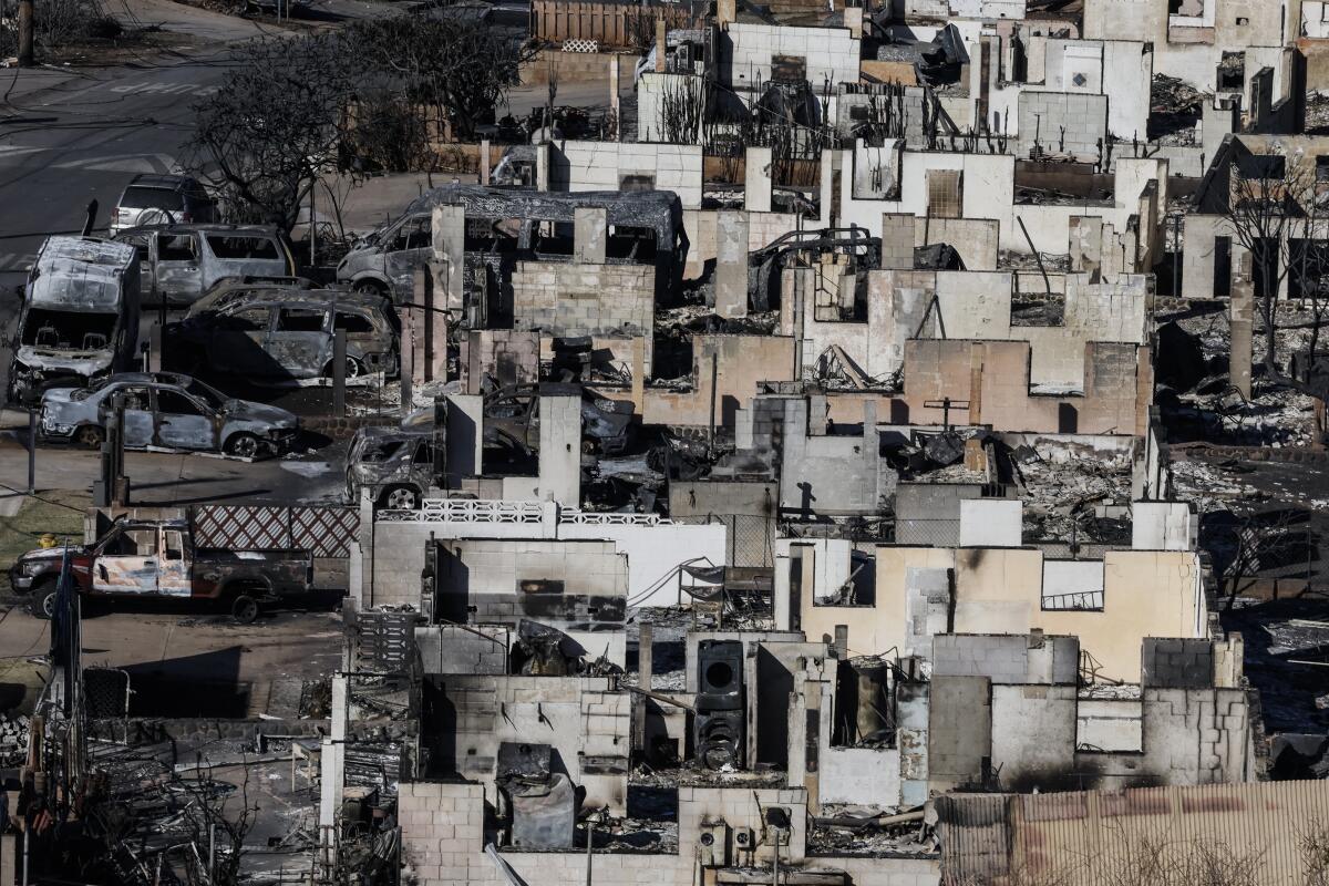 An aerial overview of a town gutted by fire.