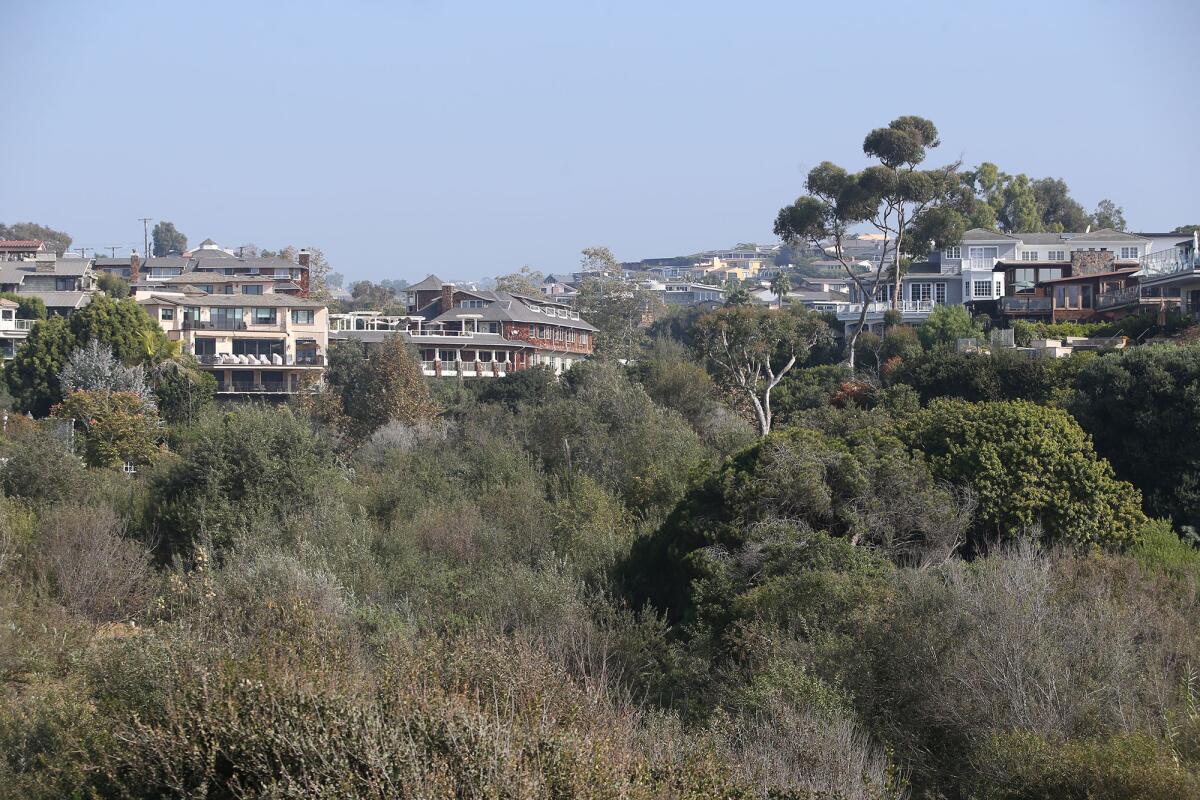 A view of Buck Gully from Little Corona Beach, looking toward the Crown Cove assisted-living facility.