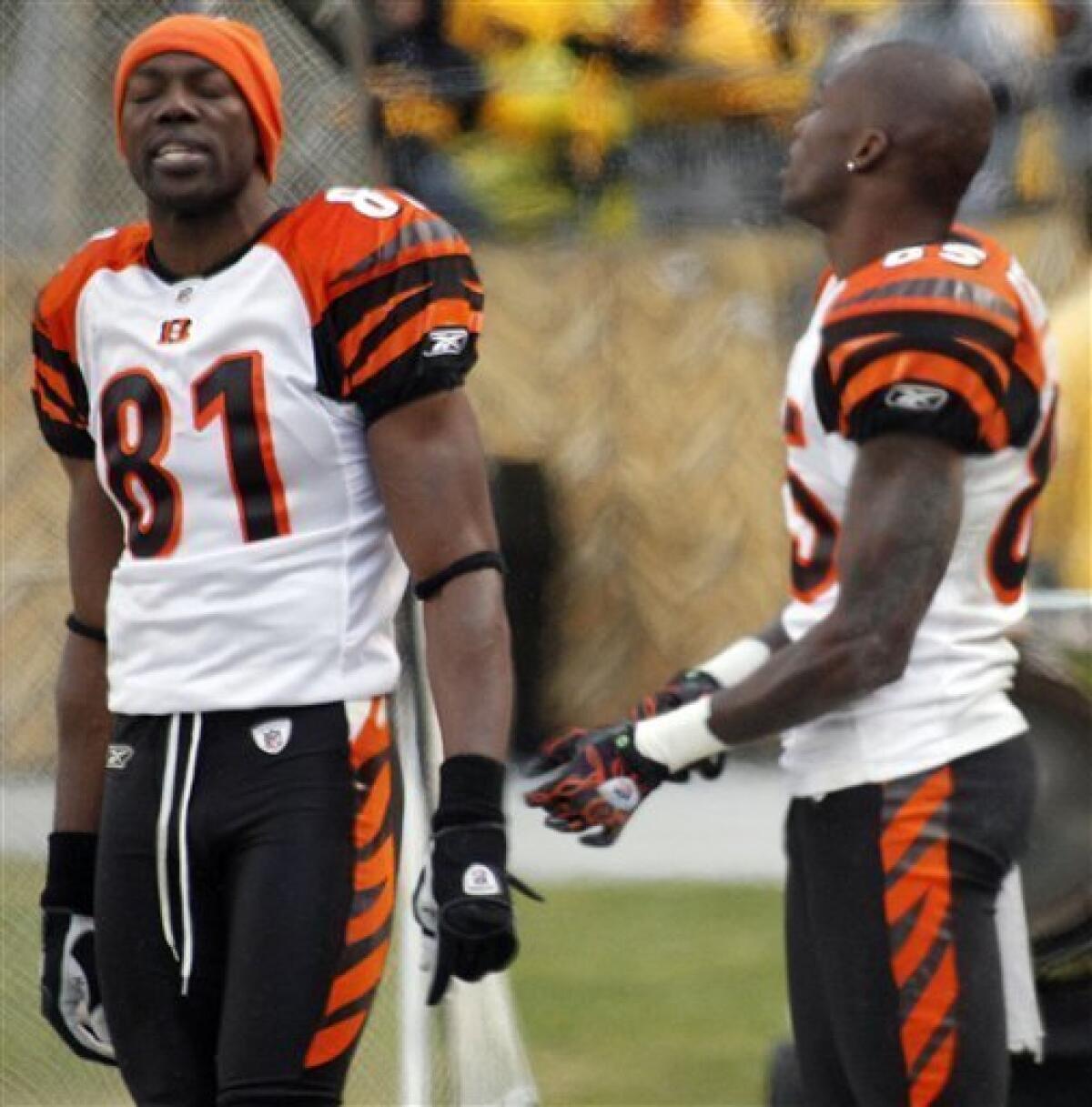 terrell owens cincinnati bengals