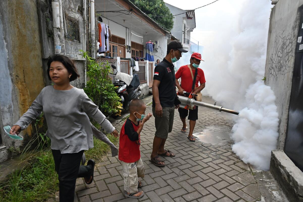 Mosquito fogging in Indonesia in 2019.