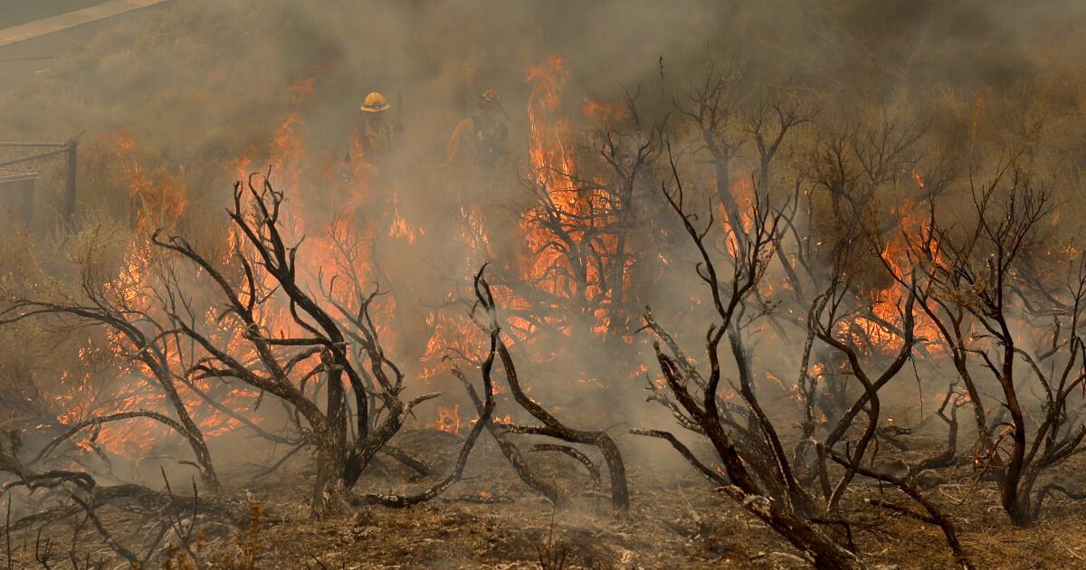 Les autorités affirment que les incendies de forêt dans le sud de la Californie continuent de menacer la région