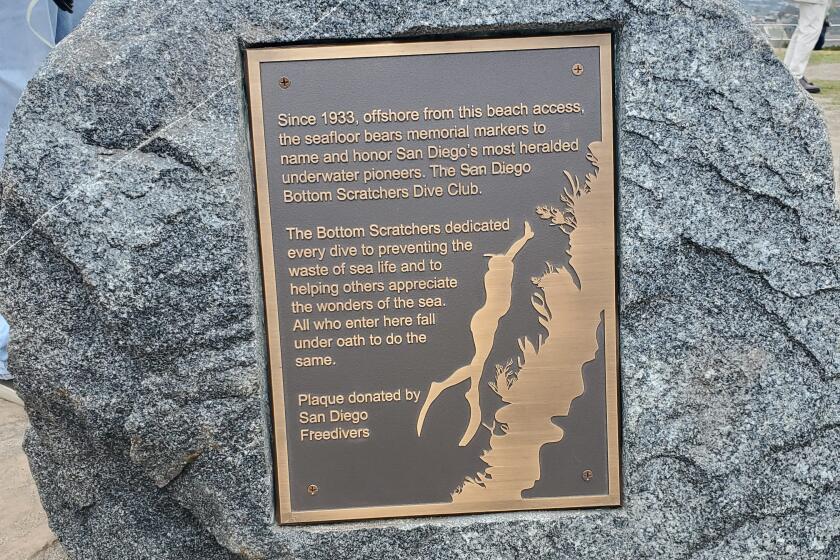 A plaque honoring the Bottom Scratchers dive club is now on view at Scripps Park.