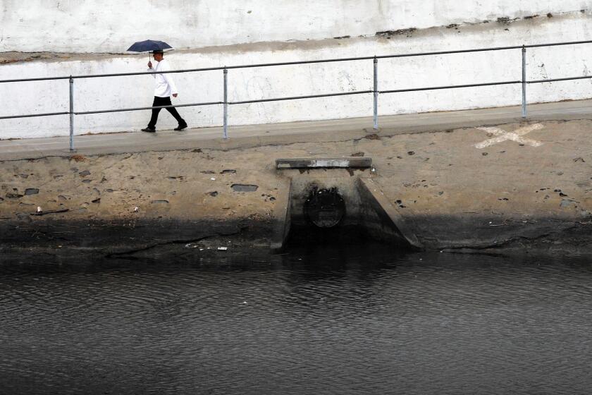 A pedestrian walks on a path along Ballona Creek, which drains part of the Los Angeles Basin and carries contaminated runoff to Santa Monica Bay.