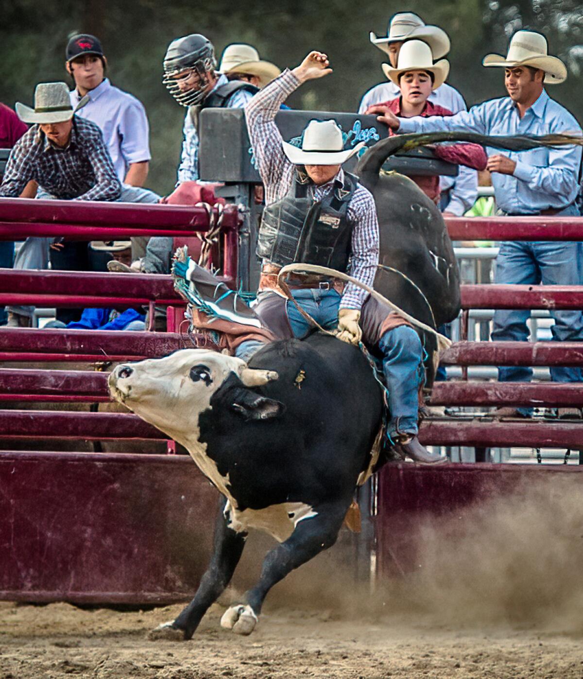 Three days of cowboy competitions will be held Aug. 26-28 at the Ramona Rodeo. 