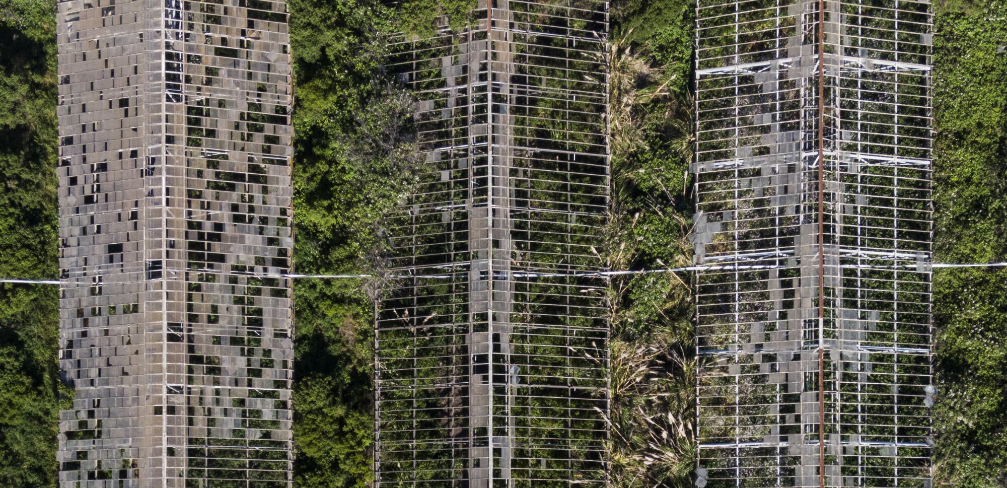 An aerial view of greenhouses with missing roof panels