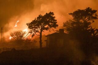 The Colorado Fire burns behind a house off Highway 1 near Big Sur, Calif., Saturday, Jan. 22, 2022. (AP Photo/Nic Coury)