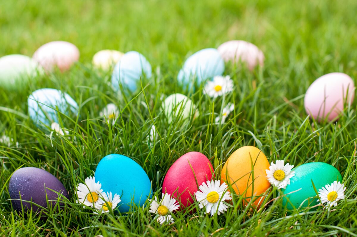 Different color Easter eggs on grass