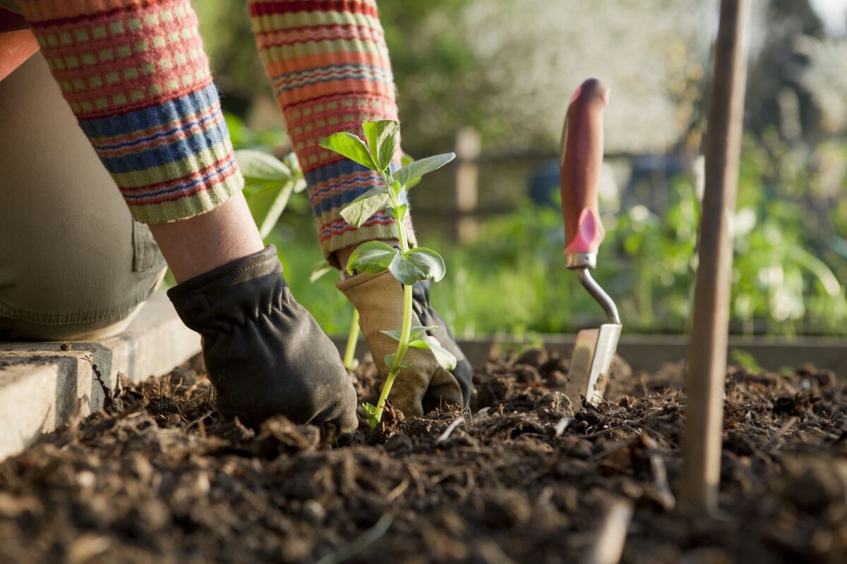 The proper tool can help gardeners be more efficient and more comfortable during their next project.