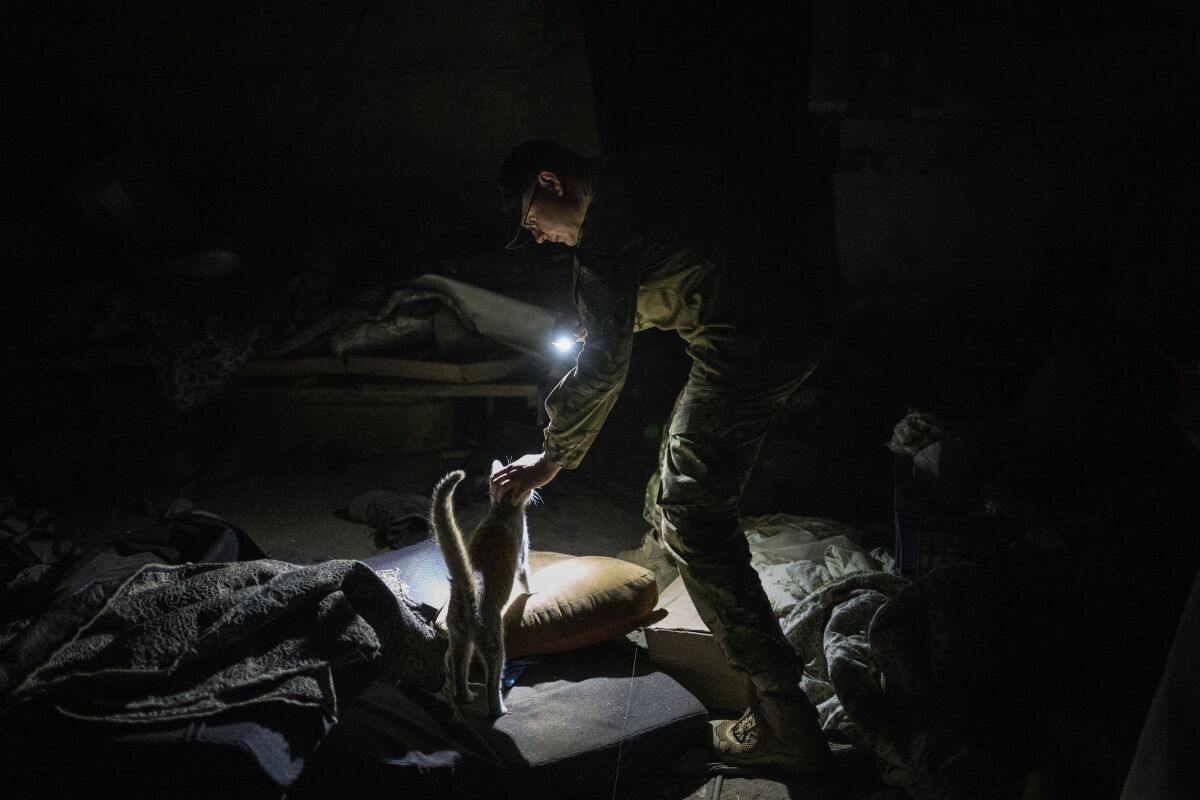 Ukrainian serviceman Anton pets a cat in a basement previously used by Russian soldiers as a temporary base in the village of Malaya Rohan, Kharkiv region, east Ukraine, Monday, May 16, 2022. (AP Photo/Bernat Armangue)