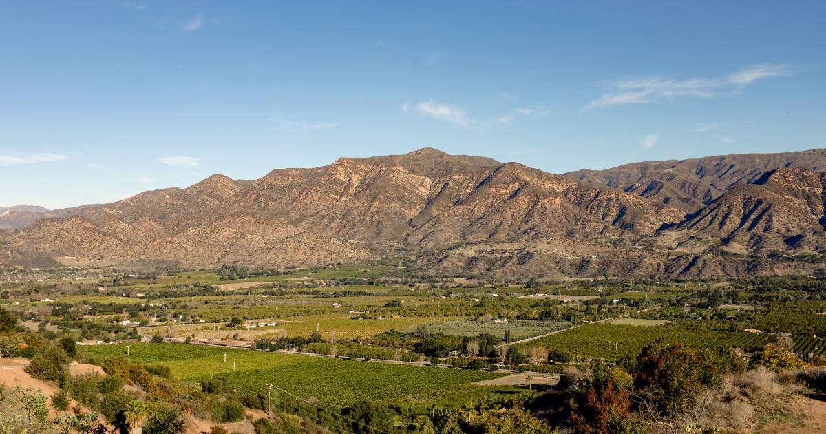 7 coisas novas para fazer em Ojai, como caminhar pelo grande oásis da batata 7 coisas novas para fazer em Ojai, como caminhar pelo grande oásis da batata