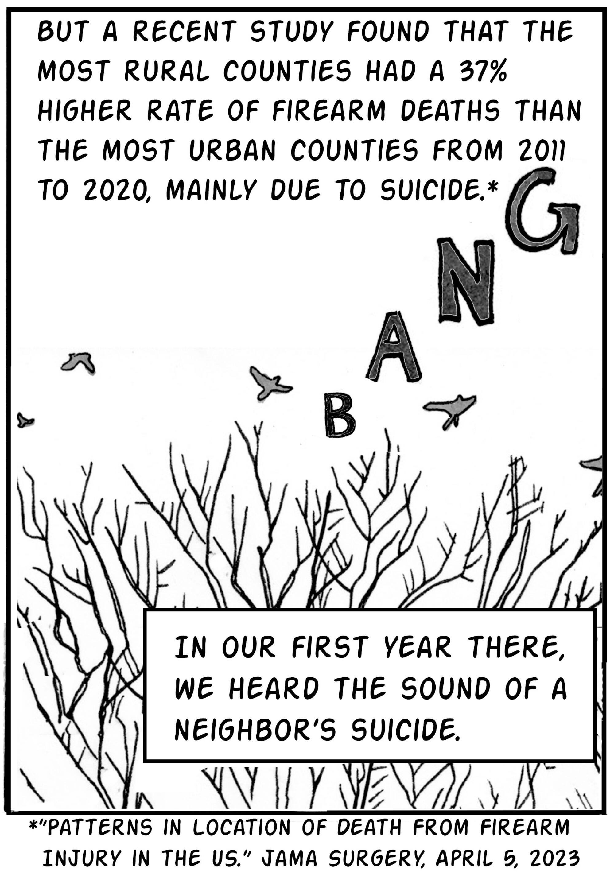 Studies show rural areas had a 37% higher rate of firearm deaths than cities, by suicide. We heard the neighbor's suicide.