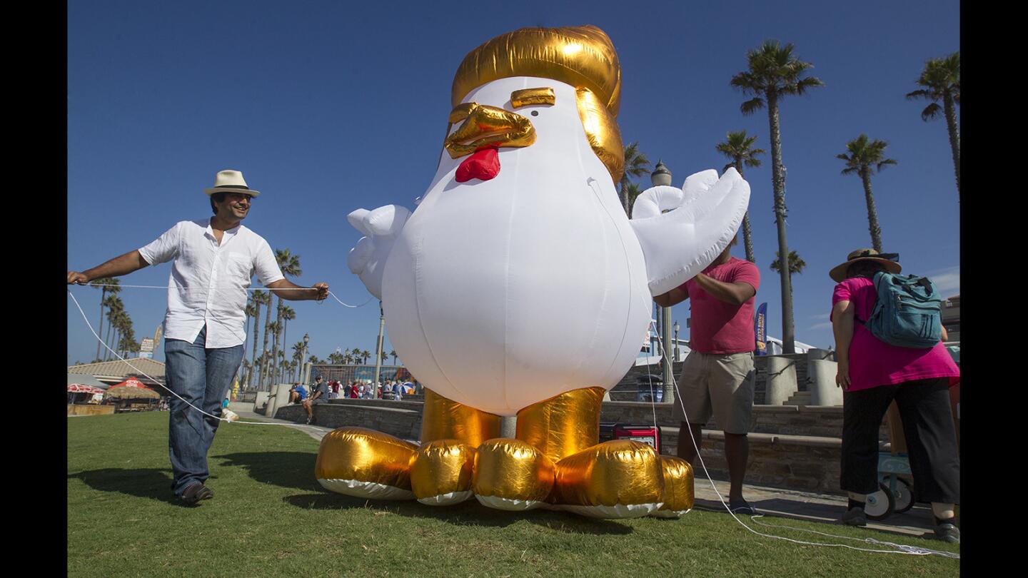 Photo Gallery: Chicken Don visits Huntington Beach