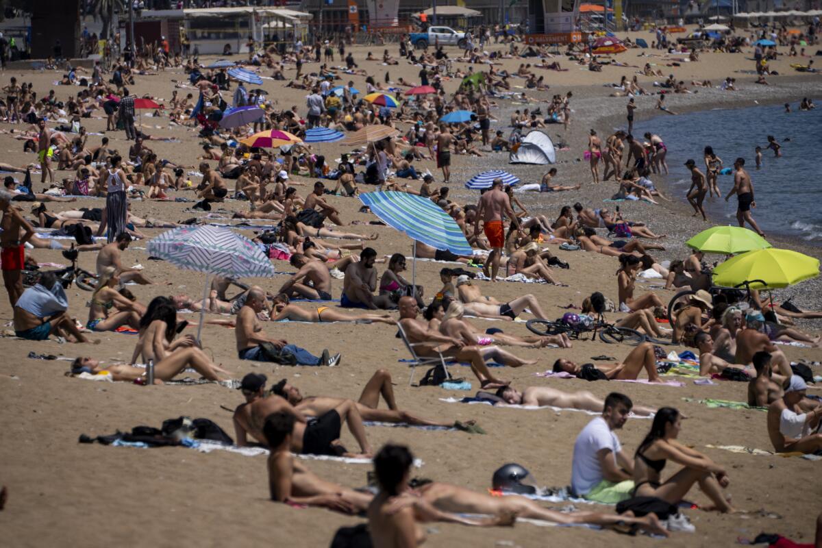 People sunbathing on beach in Barcelona, Spain
