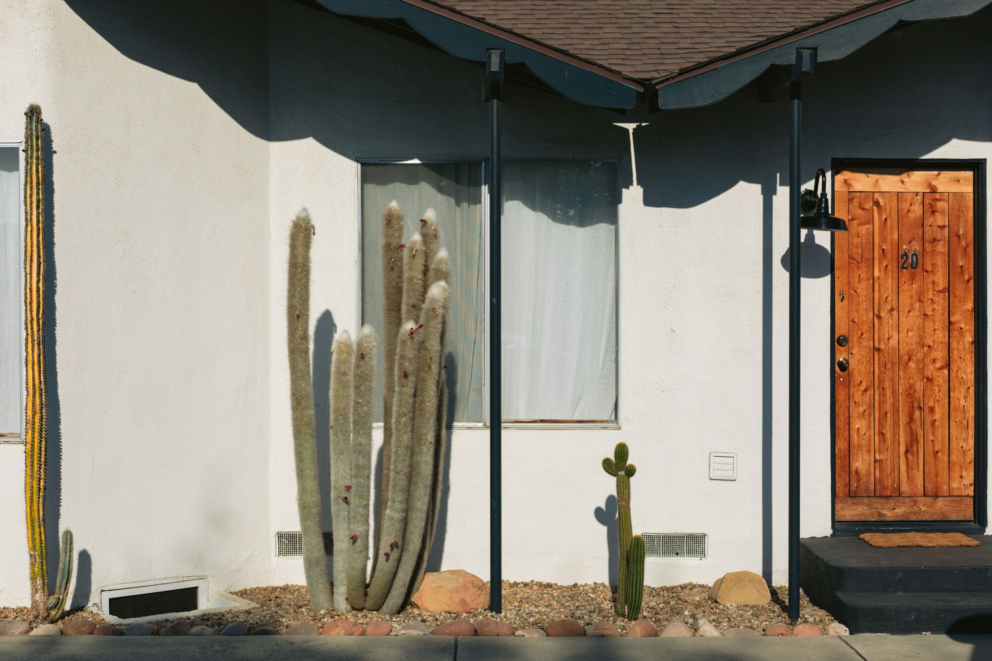 A view of the outside of a hotel room, with cacti landscaping, white walls and wooden door.