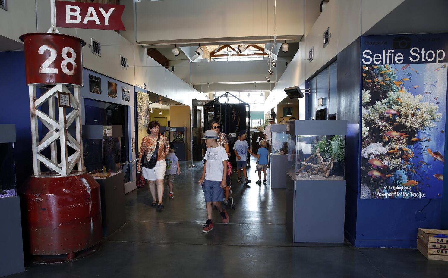 El parque de Mission Bay estrena elaborada zona de juegos para niños y área  de ejercicio para adultos - San Diego Union-Tribune en Español