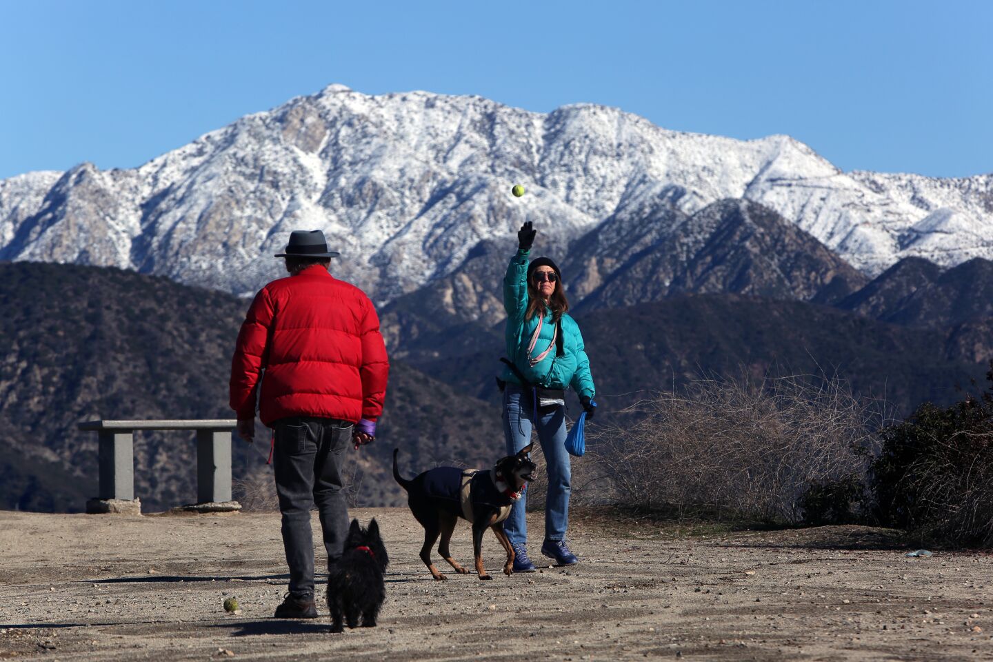 Goetz Wolff, left, and Paula Sirola toss a ball with their dogs in La Cañada Flintridge with the snow capped San Gabriel Mountains as a backdrop.