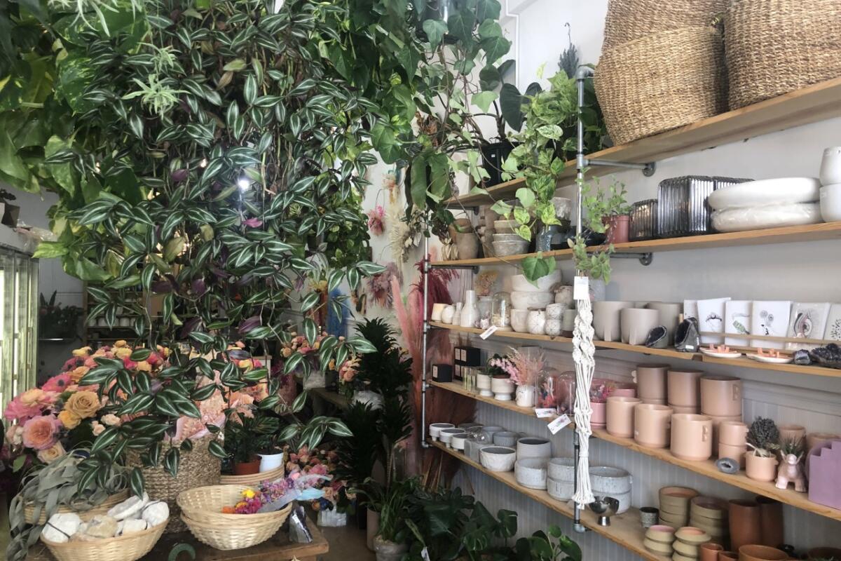 Plants, pots and baskets