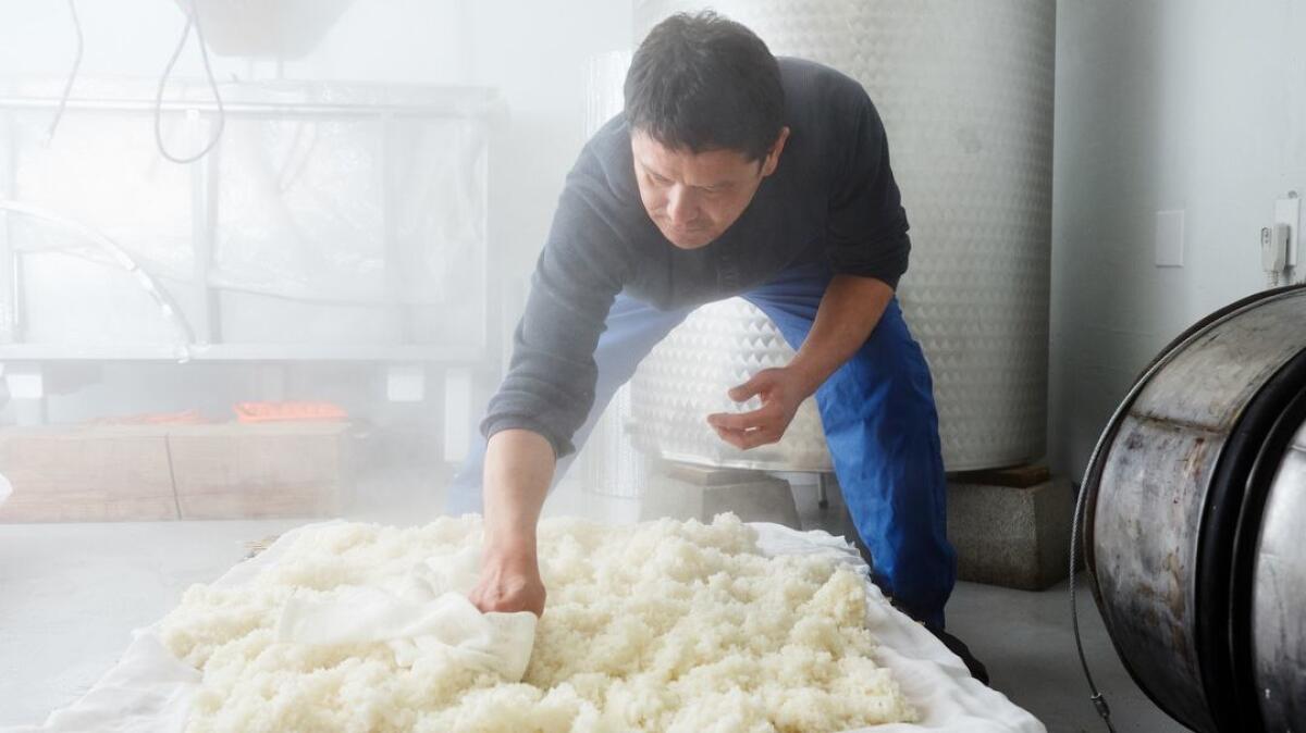 Yoshihiro Sako cools off steamed rice to brew sake at Den Sake Brewery.