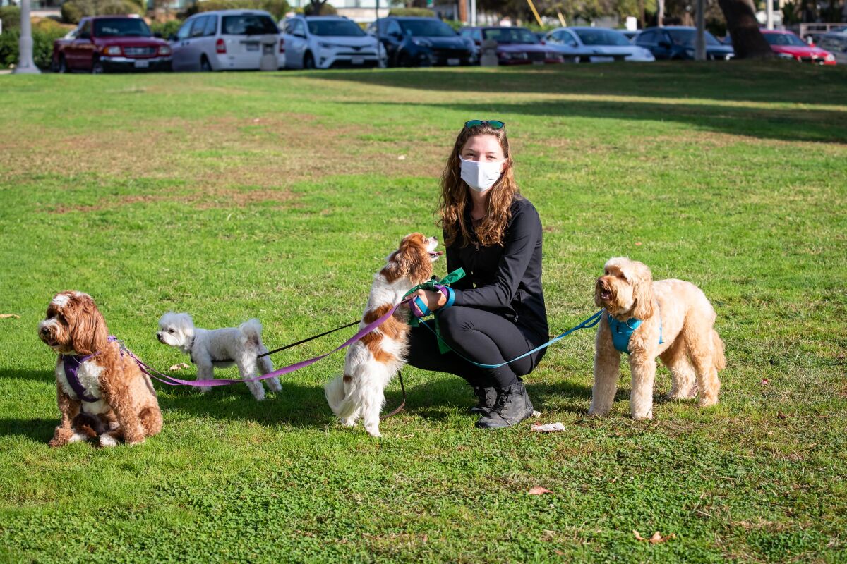 are dogs allowed at mission bay park