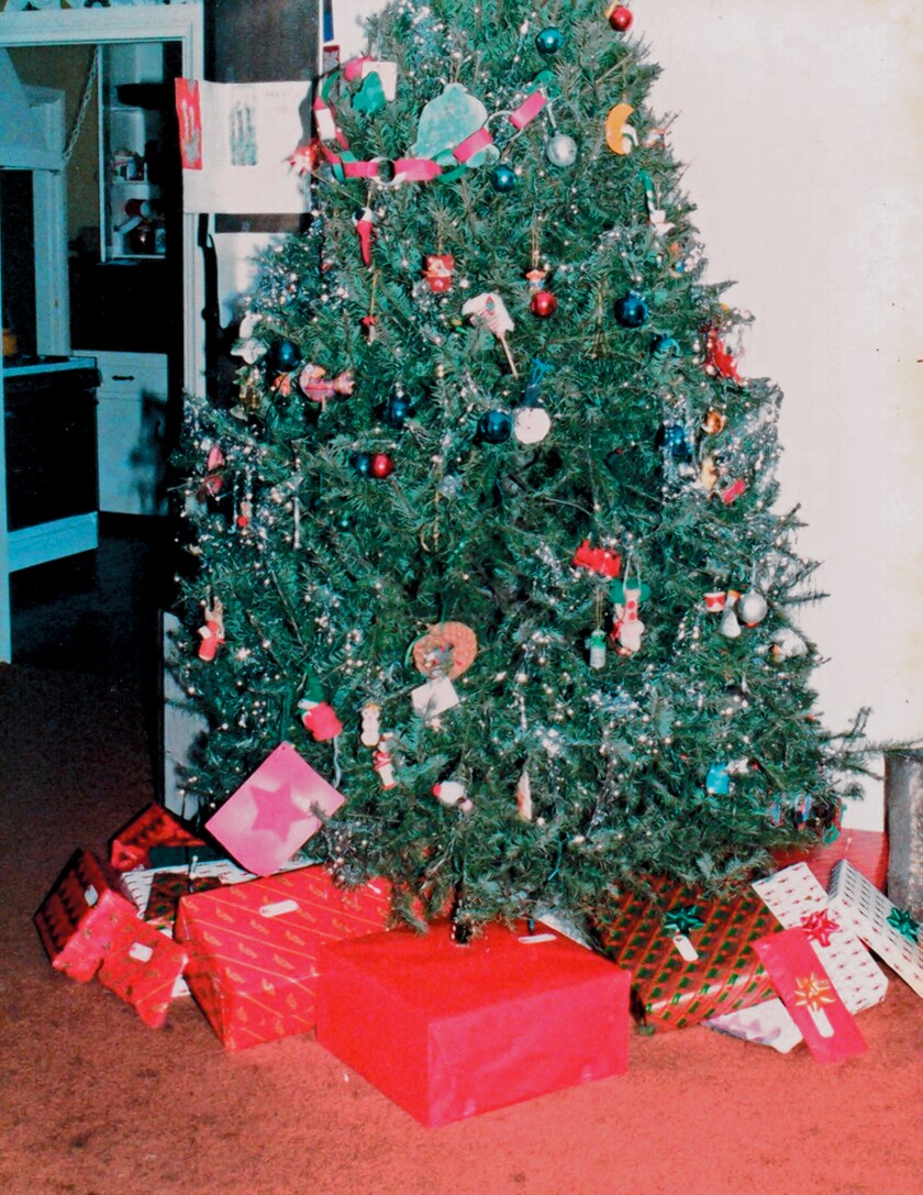 1985. Not shown: Rope tethering top of tree to plant hanger so tree won’t fall down.