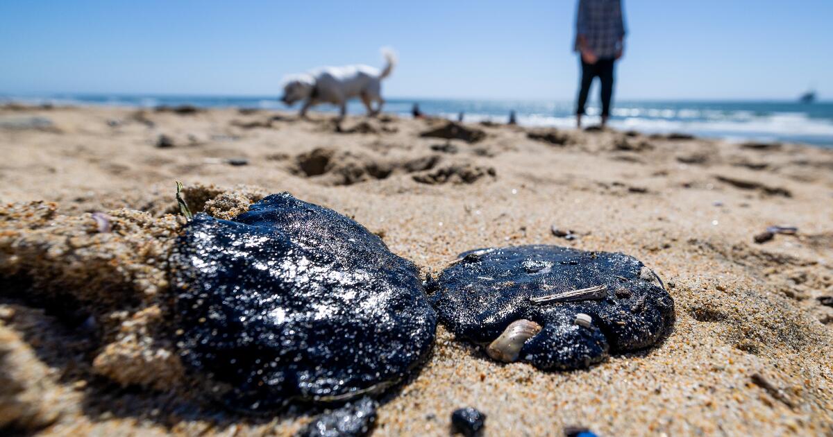 Natural or drilling? Cause of Orange County oil spill investigated Natural or drilling? Cause of Orange County oil spill investigated