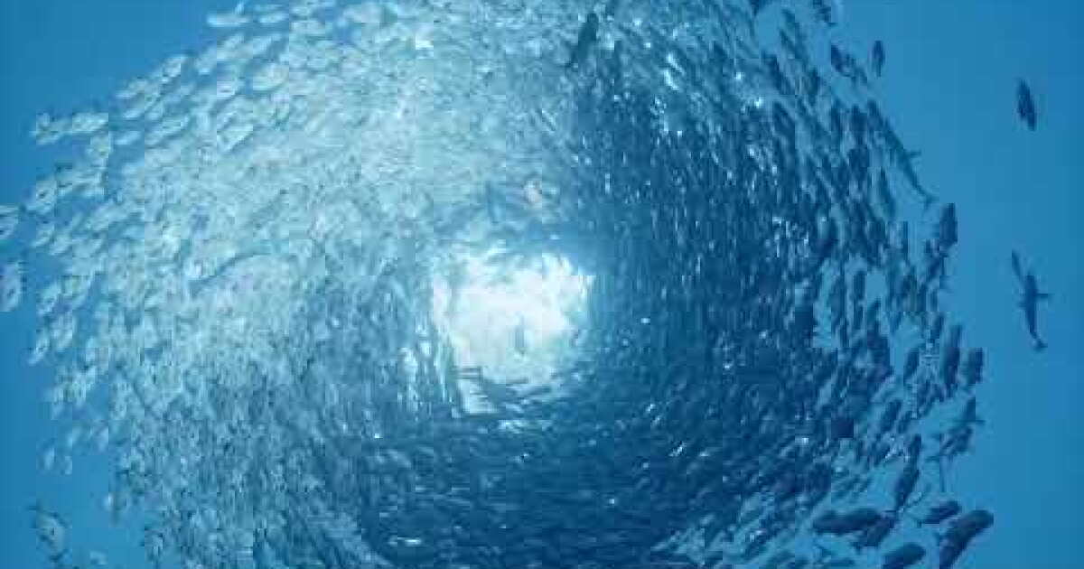 The Player: 'Abzu,' one of the year's best games, is more undersea ...
