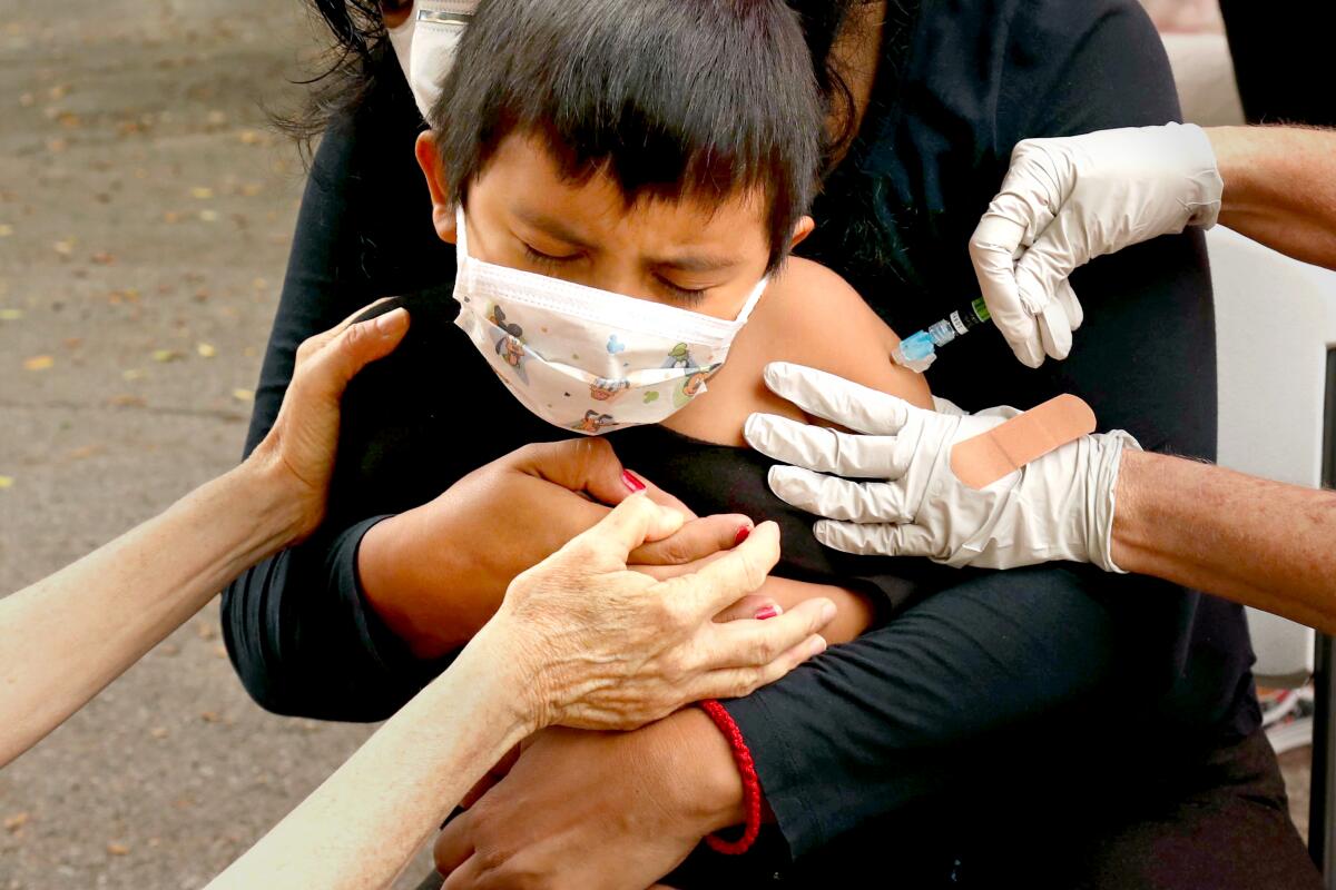 A young boy receives a flu shot during a free clinic.