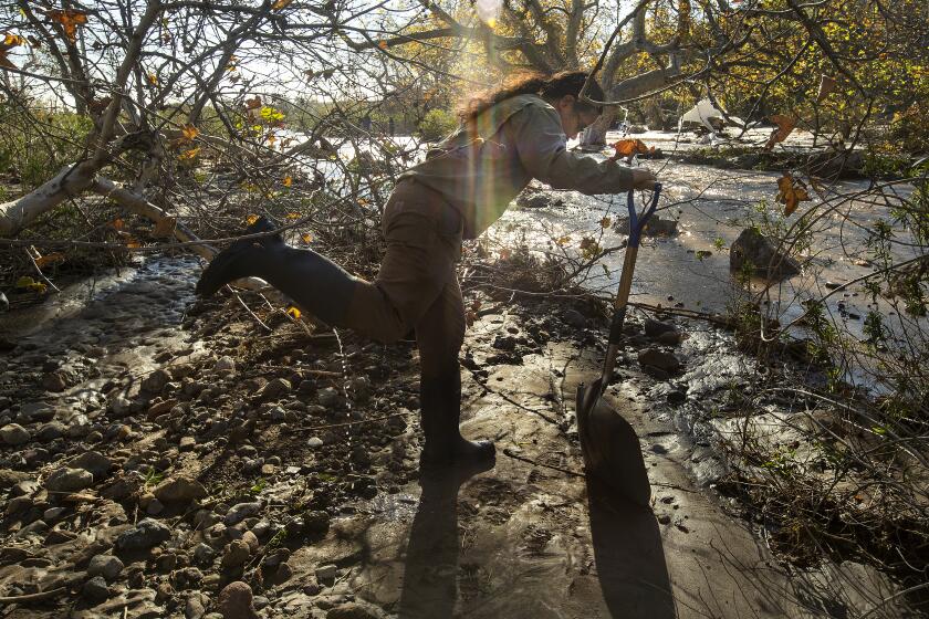MALIBU, CA-DECEMBER 31, 2021: John Ota, an environmental scientist with the California State Parks, removes water from his boot, after helping to shovel away mud and debris at Leo Carrillo State Campground in Malibu. At least 50 people had to be rescued from the campground after significant rainfall sent a torrent of muddy water through the area, said Los Angeles County Fire Department spokesman Geovanni Sanchez. (Mel Melcon / Los Angeles Times)