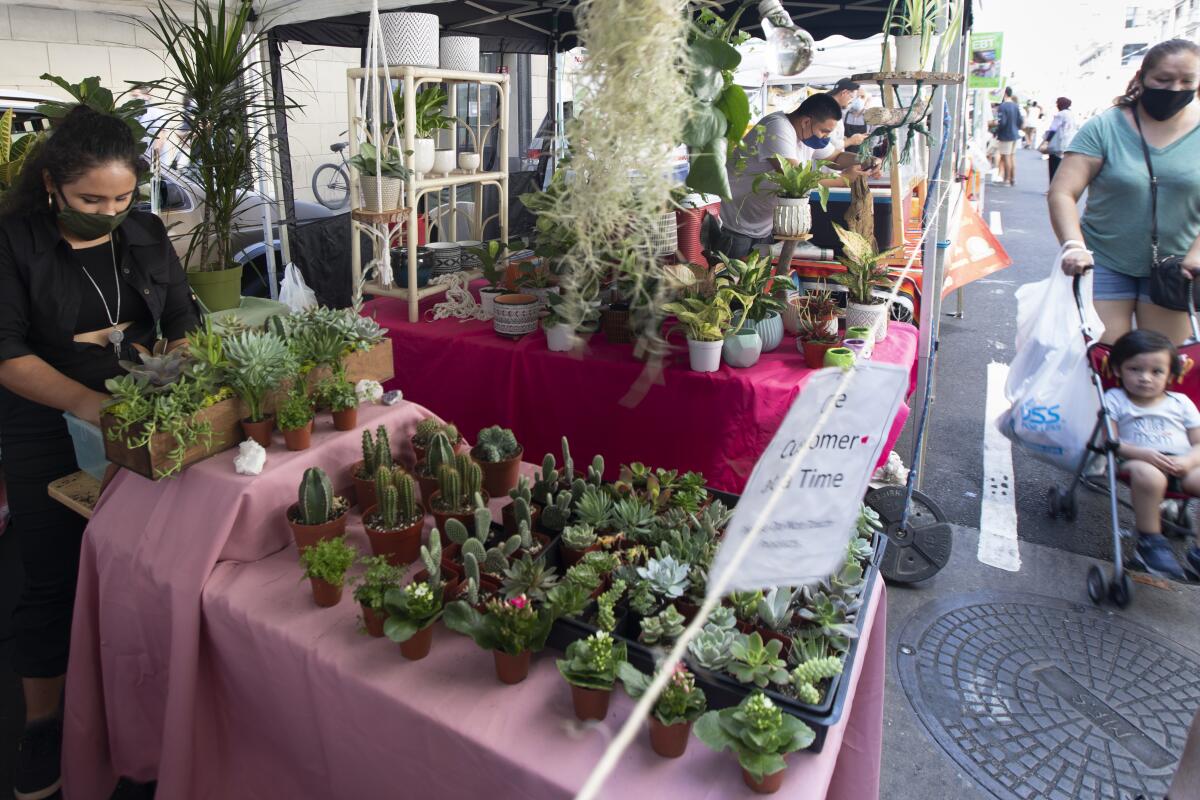 Dianna Martinez works at her plant booth at the Historic Downtown Farmers Market 