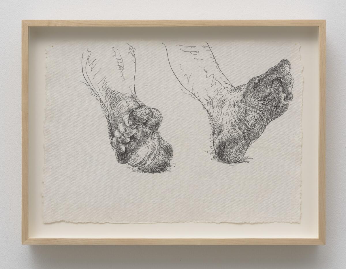 Tom Knechtel's "Bob's Feet (4)," 2015, ink on paper, 8 by 11-1/5 inches. (Tom Knechtel / Marc Selwyn Fine Art)