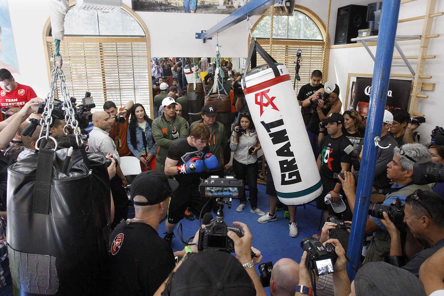 Saul "Canelo" Alvarez works out during a media event at the home of former world champion Shane Mosley in Big Bear.