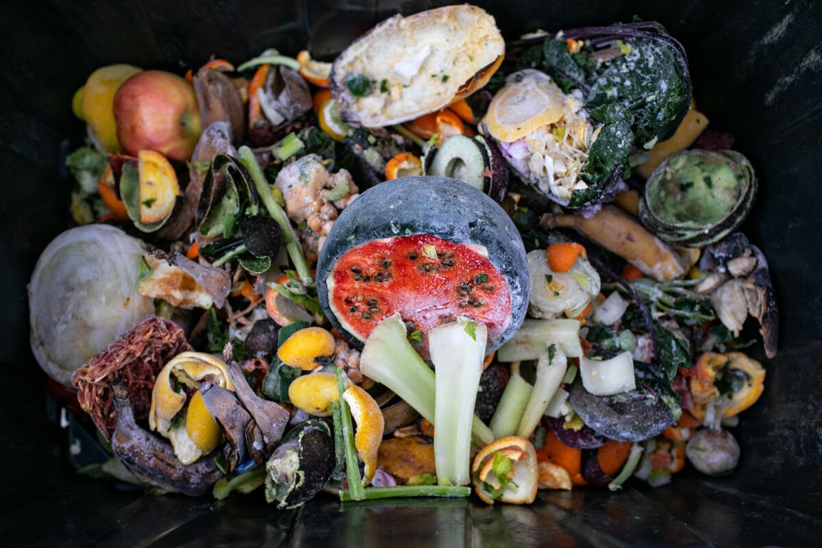 A container of food scraps.