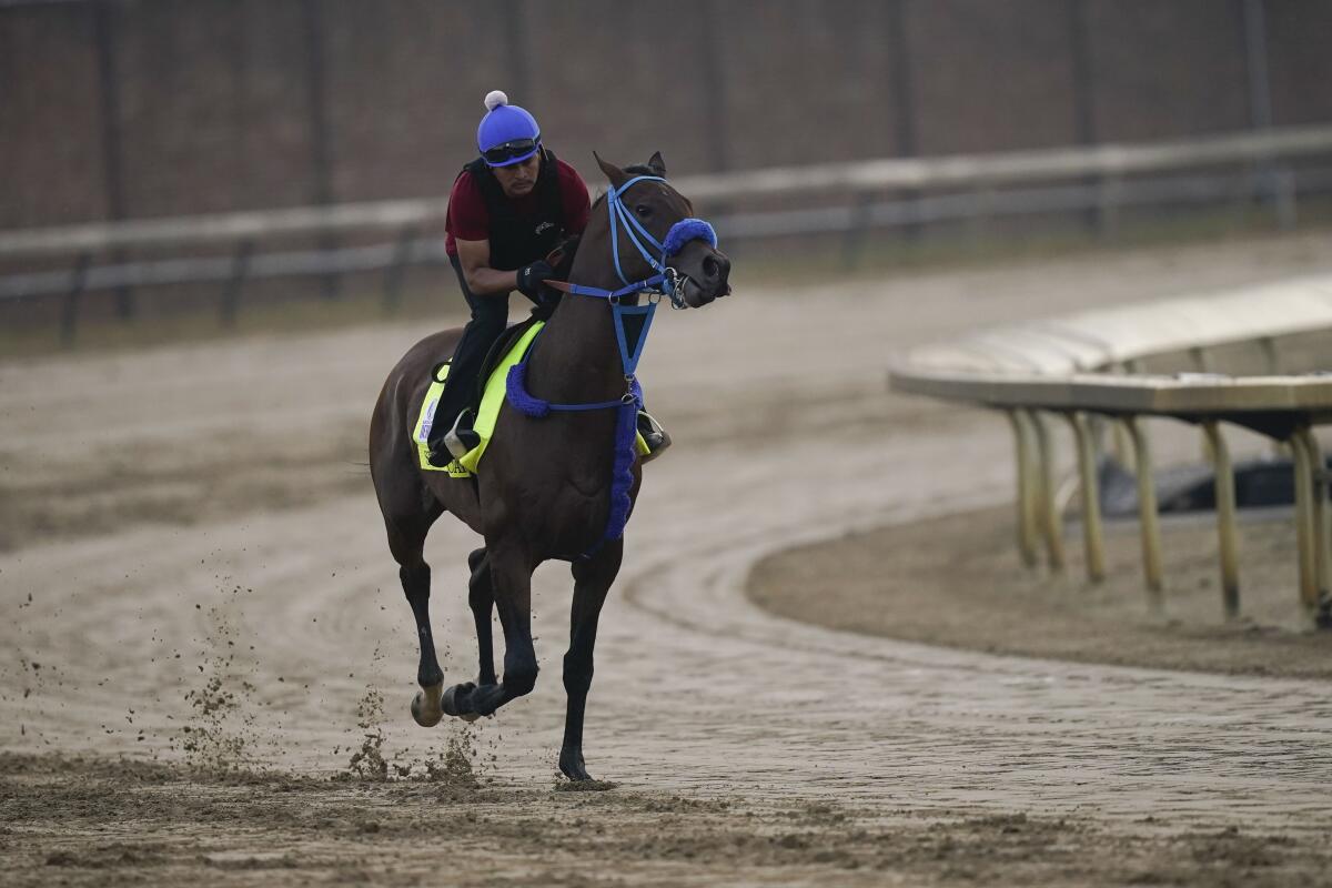 Kentucky Derby entrant Simplification works out at Churchill Downs on Friday.