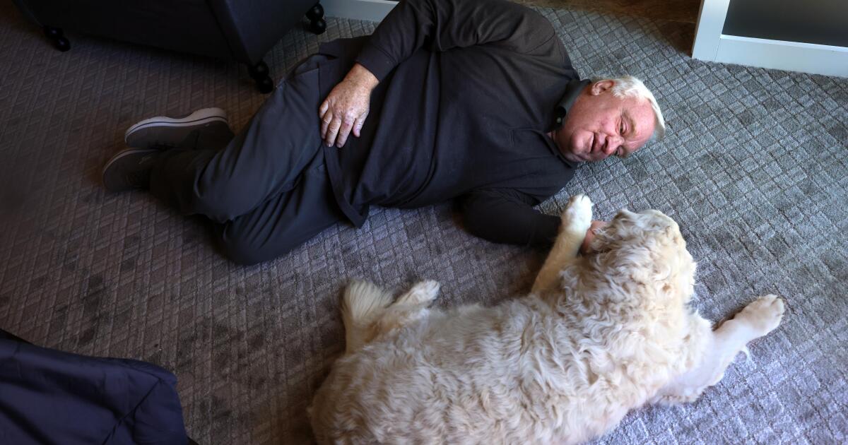 Rising from the ashes: How fire survivors rebuild and return home in time for Thanksgiving Rising from the ashes: How fire survivors rebuild and return home in time for Thanksgiving