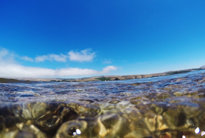 The clear water of Marin County's Tomales Bay