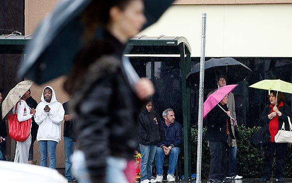 Umbrellas abound