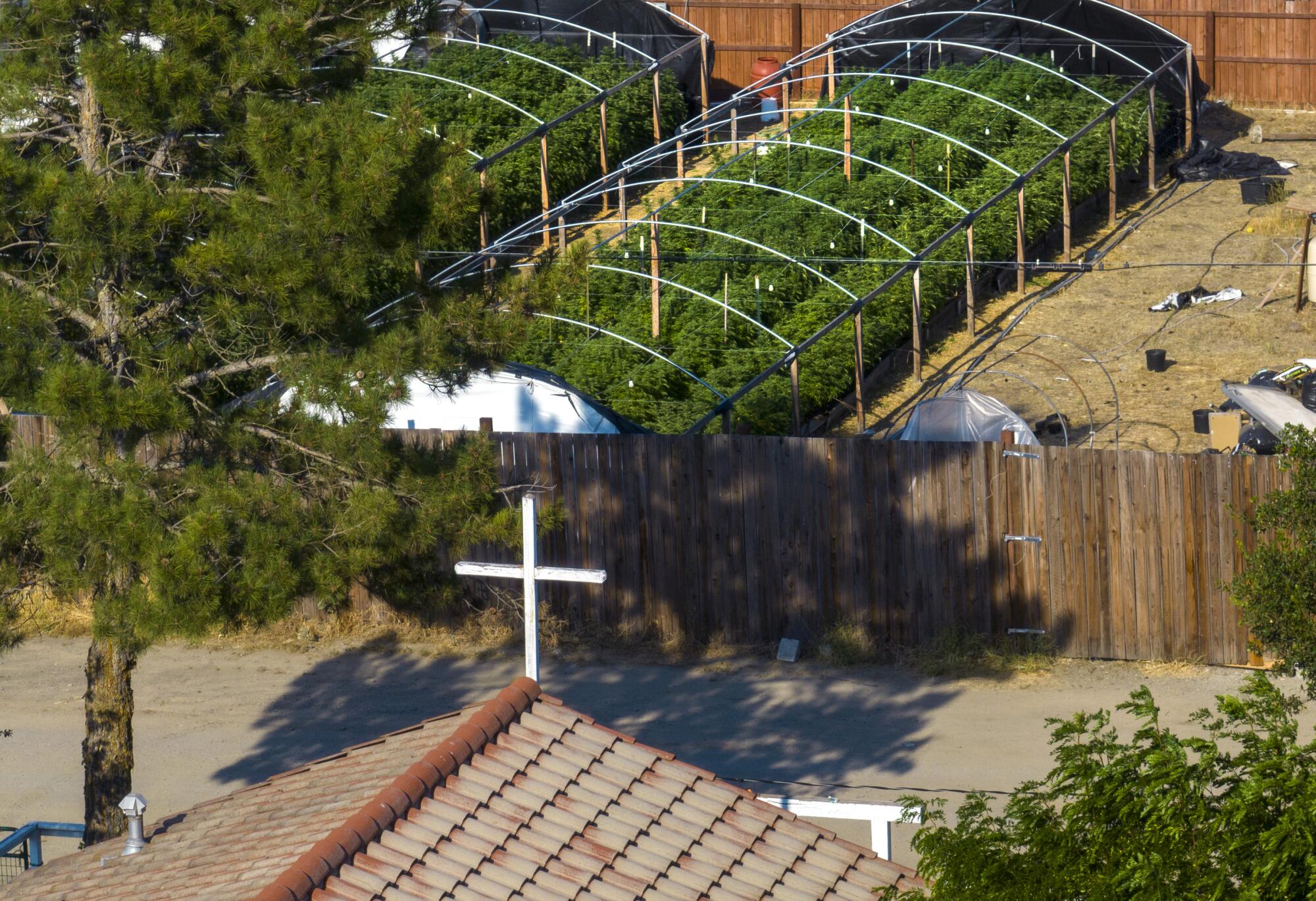 Cannabis hoop houses fill the backyard of a home adjacent to the Our Lady Queen of Peace Roman Catholic Chapel in Covelo.