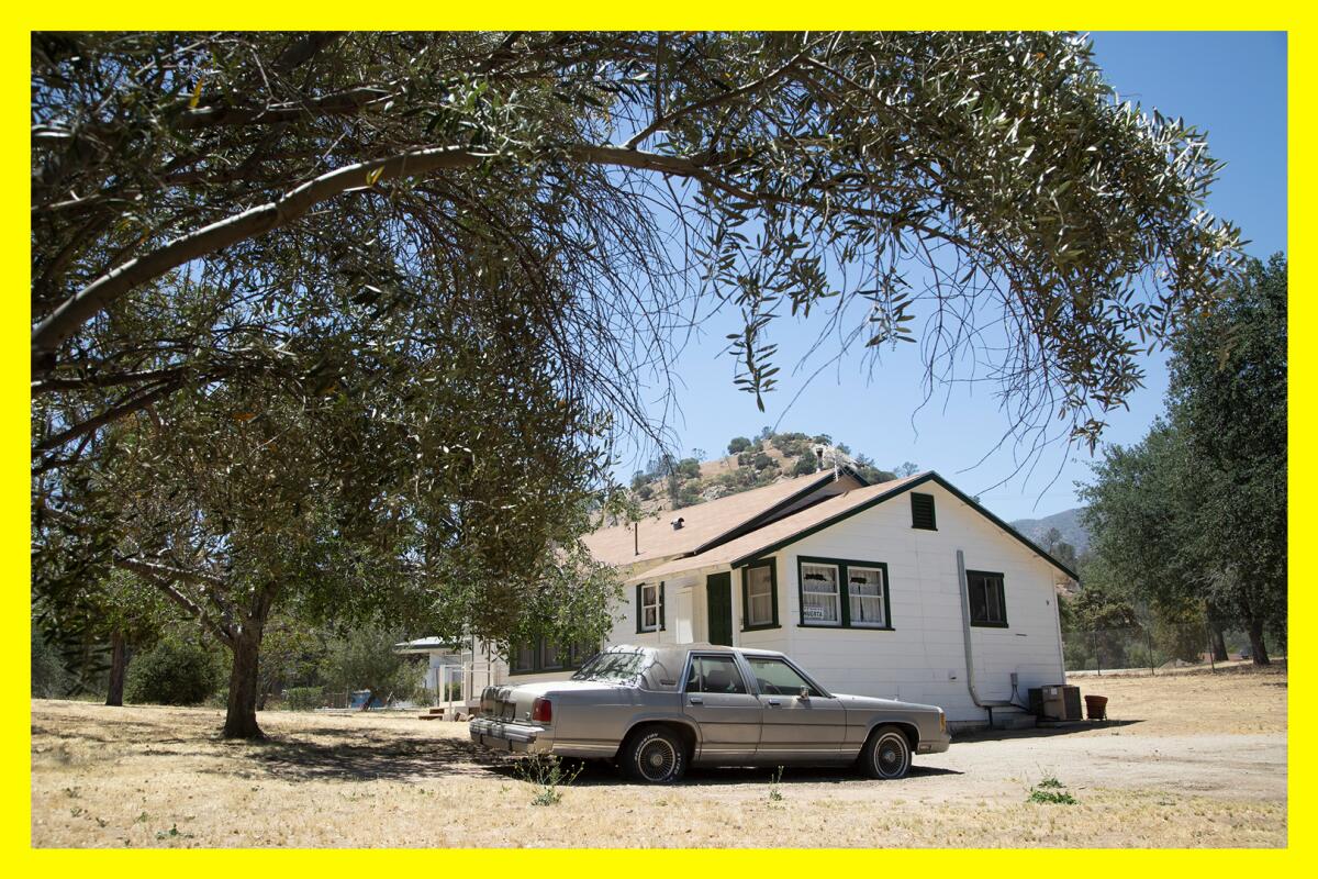 A house and car near a large tree.