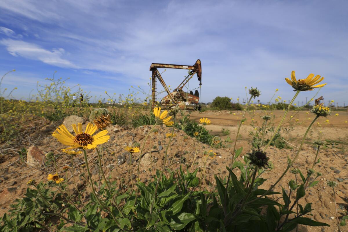 A pumpjack on Banning Ranch on the border of Costa Mesa and Newport Beach in 2016. 