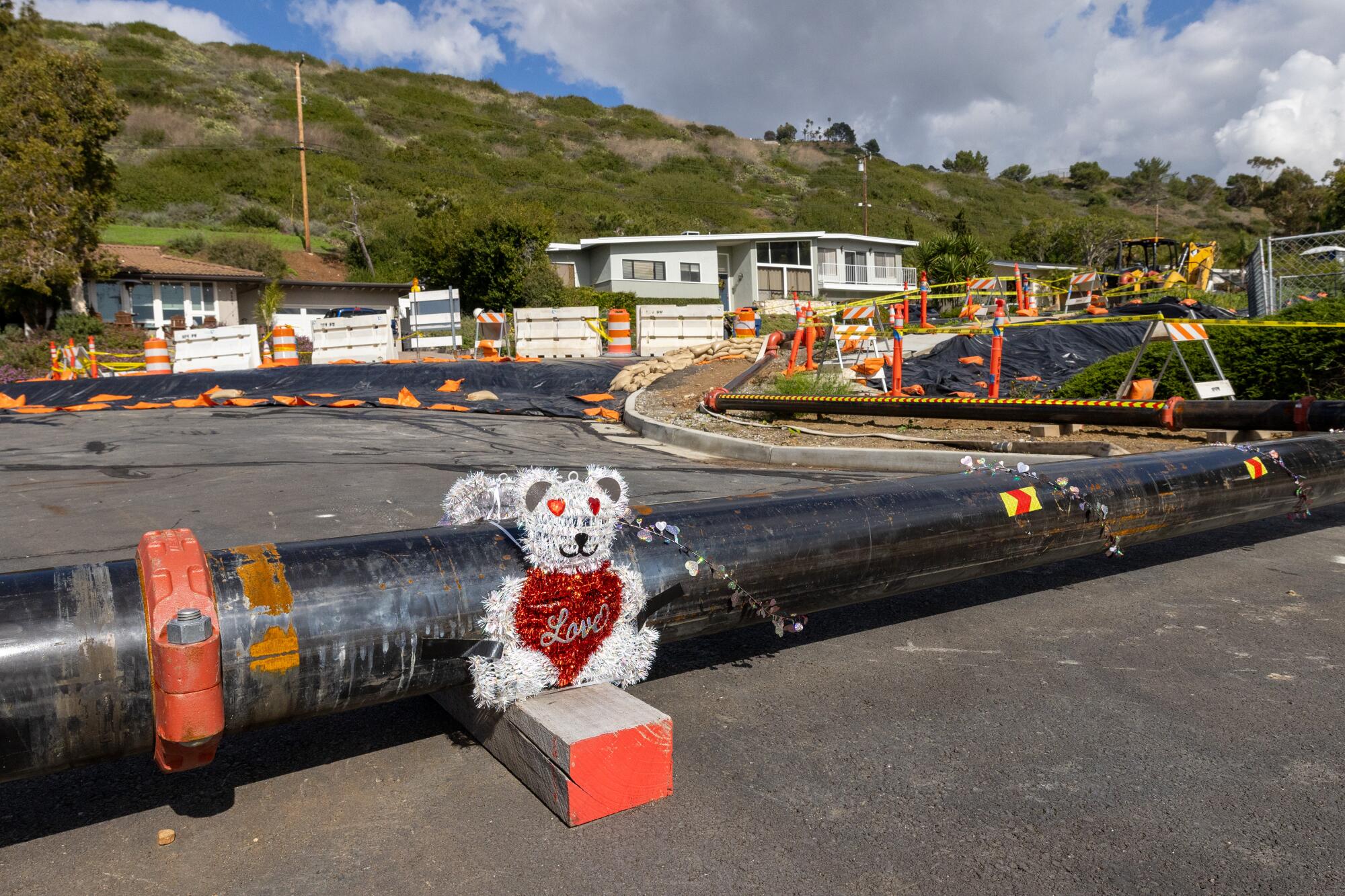  A teddy bear Valentine decoration is perched along rerouted water lines on a road with a grassy hill in the background.