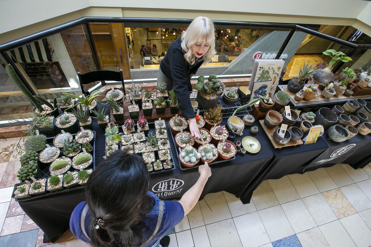 Nicolette Stewart, top, with Mellowist Plantlife booth, helps a customer during South Coast Plaza's Spring Garden Show.