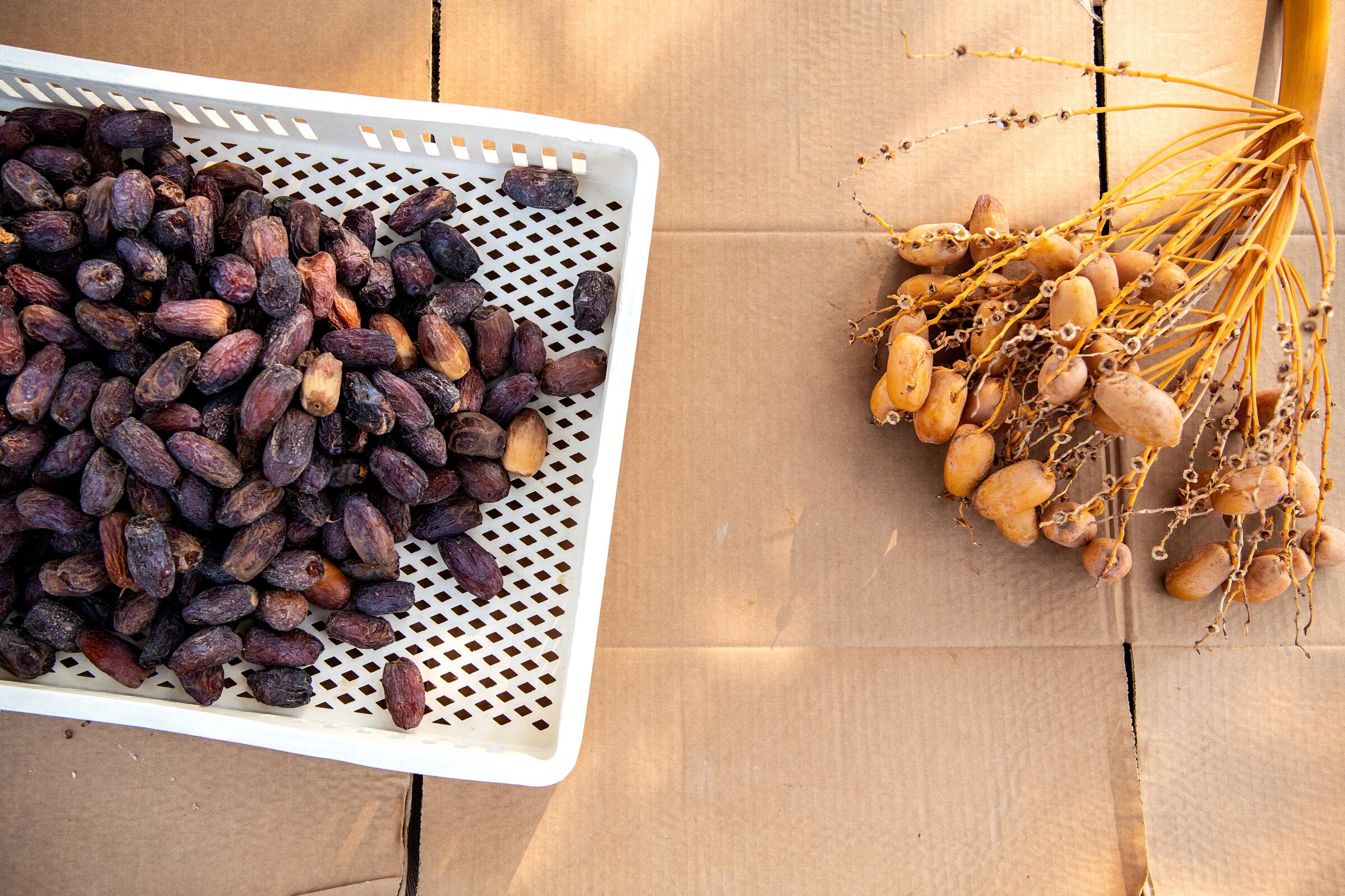 Dates from Sam Cobb Farms in Blythe.