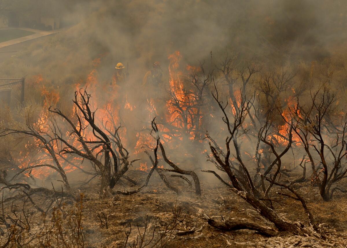 The Bridge fire burns in Wrightwood in San Bernardino County.